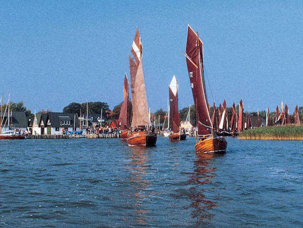 Ganze Ferienwohnung, Haus Martha in Ahrenshoop, Fischland