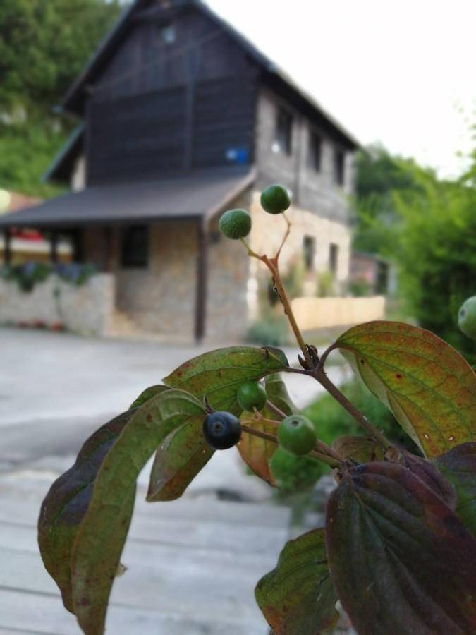 Ferienwohnung für 5 Personen, mit Seeblick und Garten sowie Ausblick, mit Haustier an den Plitvicer Seen - 2