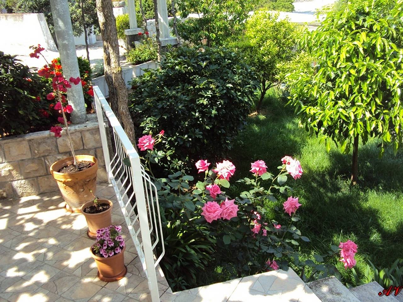 Geheel appartement, Eenkamerappartement met een balkon en uitzicht op de zee Zaton Mali (Dubrovnik) A-12120-a in Zaton, Grad Dubrovnik