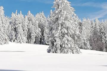 Gîte pour 6 personnes à Ban-sur-Meurthe-Clefcy