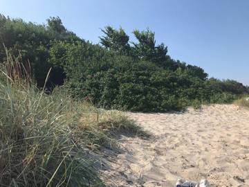 Ferieudlejning til 8 Personer i Saksild Strand, Rude Strand, Billede 2