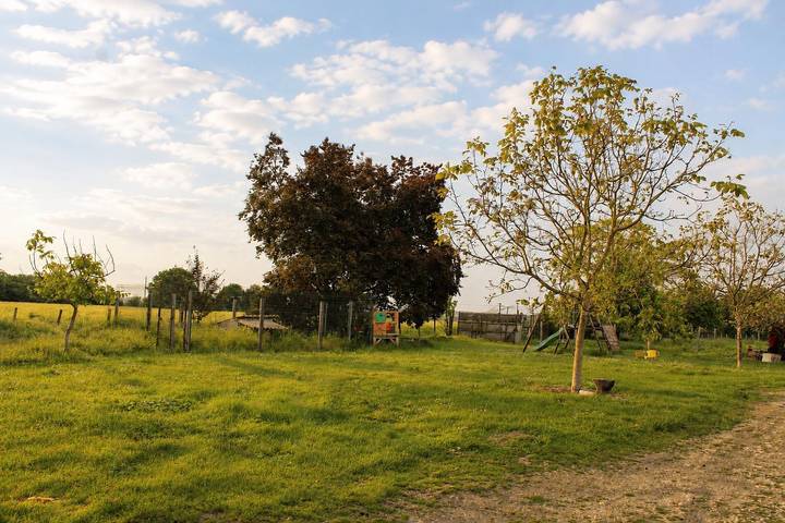 Capy 2 in Naussannes, Périgord Pourpre