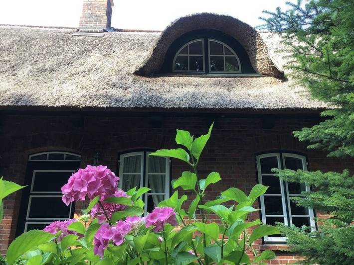 Ferienwohnung mit 2 Schlafzimmer in Schönwalde am Bungsberg, Ostholstein