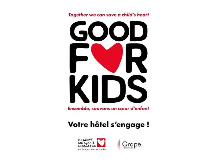Hôtel pour 3 personnes, avec piscine ainsi que bassin pour enfant et jardin, animaux acceptés à Sausheim - 4