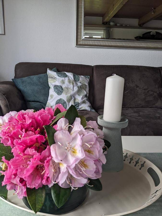 Ferienhaus für 6 Personen, mit Terrasse und Garten sowie Ausblick in Bordelum - 4