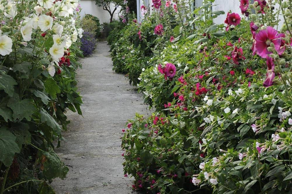 Cottage Les Roses de mer 2 in Sainte-Marie-de-Ré, Île de Ré