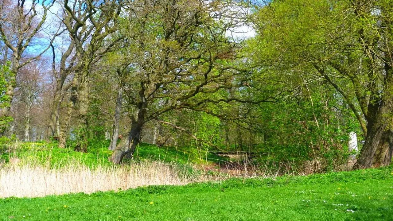 Geheel vakantieappartement, Vakantieappartement voor 6 personen met tuin in Højer, Tondern en omgeving
