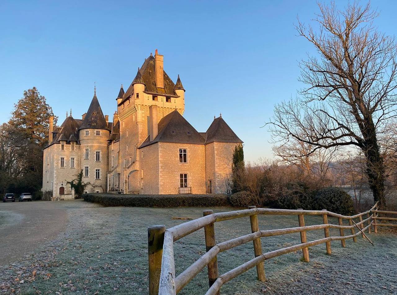 Château de la Tour en Brenne - La Flamande in Région de Le Blanc