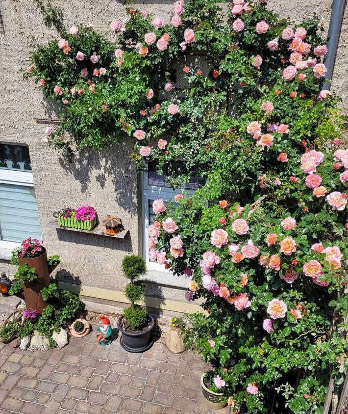 Ferienwohnung für 4 Personen, kinderfreundlich in Naumburg - 2