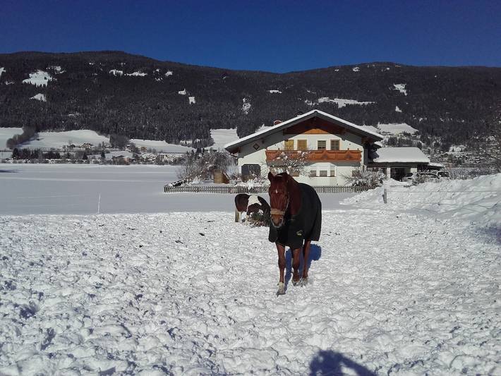 Ferienhaus für 6 Personen, mit Ausblick und Garten im Salzburger Land - 3