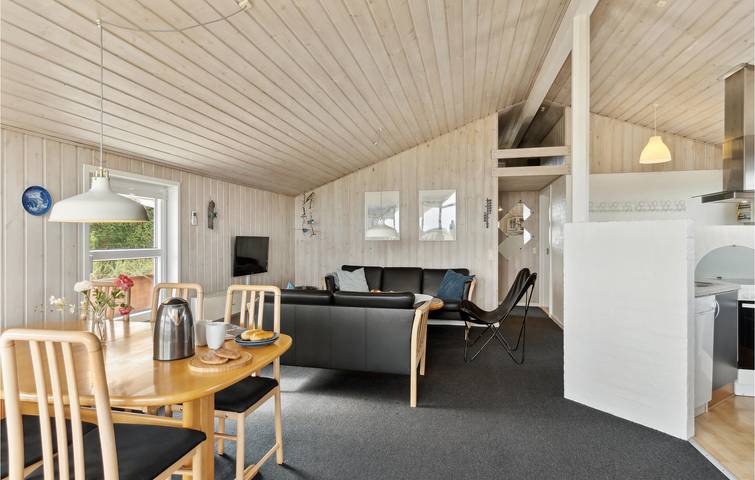 Ferienhaus für 5 Personen, mit Whirlpool und Sauna sowie Terrasse in Nordjütland - 4