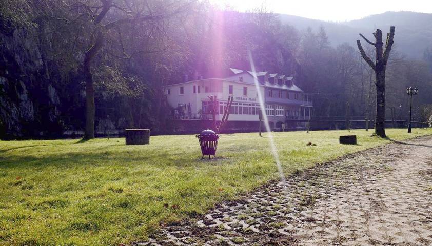 Hôtel pour 3 personnes, avec terrasse et jardin dans Dirbach - 3