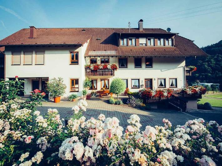 Maison d’hôte pour 2 personnes, avec vue ainsi que jardin et terrasse à Simonswald - 3