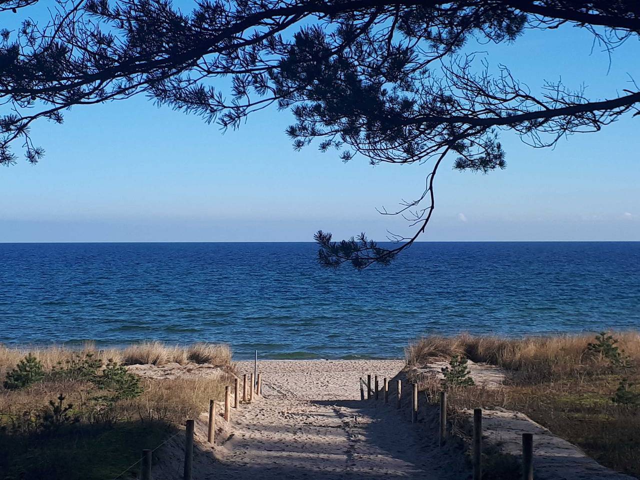 Ferienwohnung in Rügen ab 68€ pro Nacht