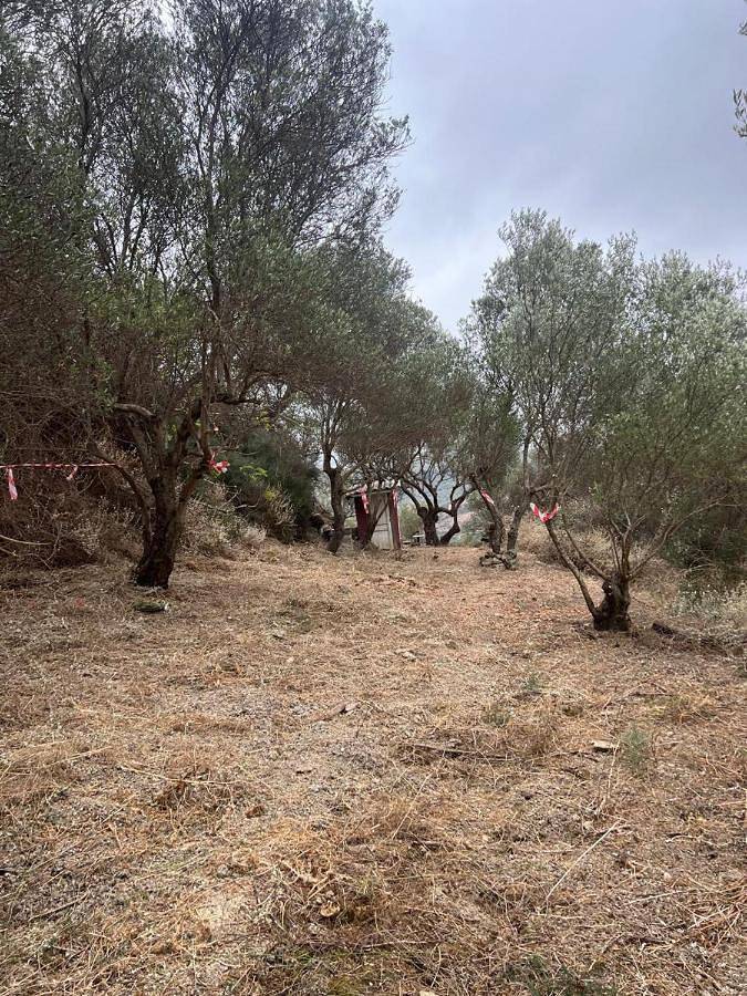 Camping für 2 Personen, mit Garten und Ausblick auf Kreta - 3