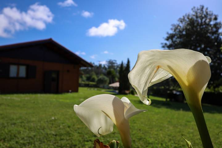 Chalet para 7 personas, con jardín y terraza en Provincia de Pontevedra - 3