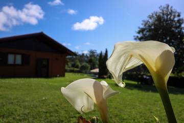 Chalet para 7 Personas en Bueu, Costa de Galicia, Foto 2