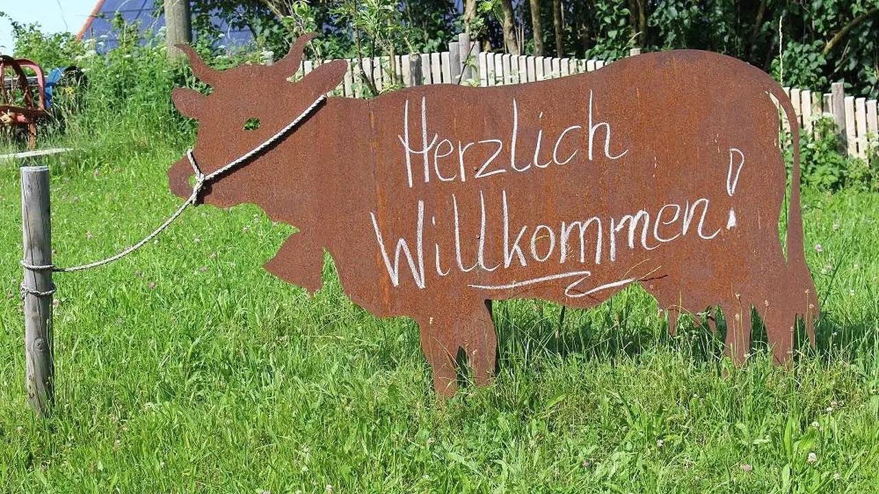 Ganze Ferienwohnung, Ferienwohnung für 5 Personen (71 m²) in Immenstadt in Immenstadt, Bayerisch Schwaben