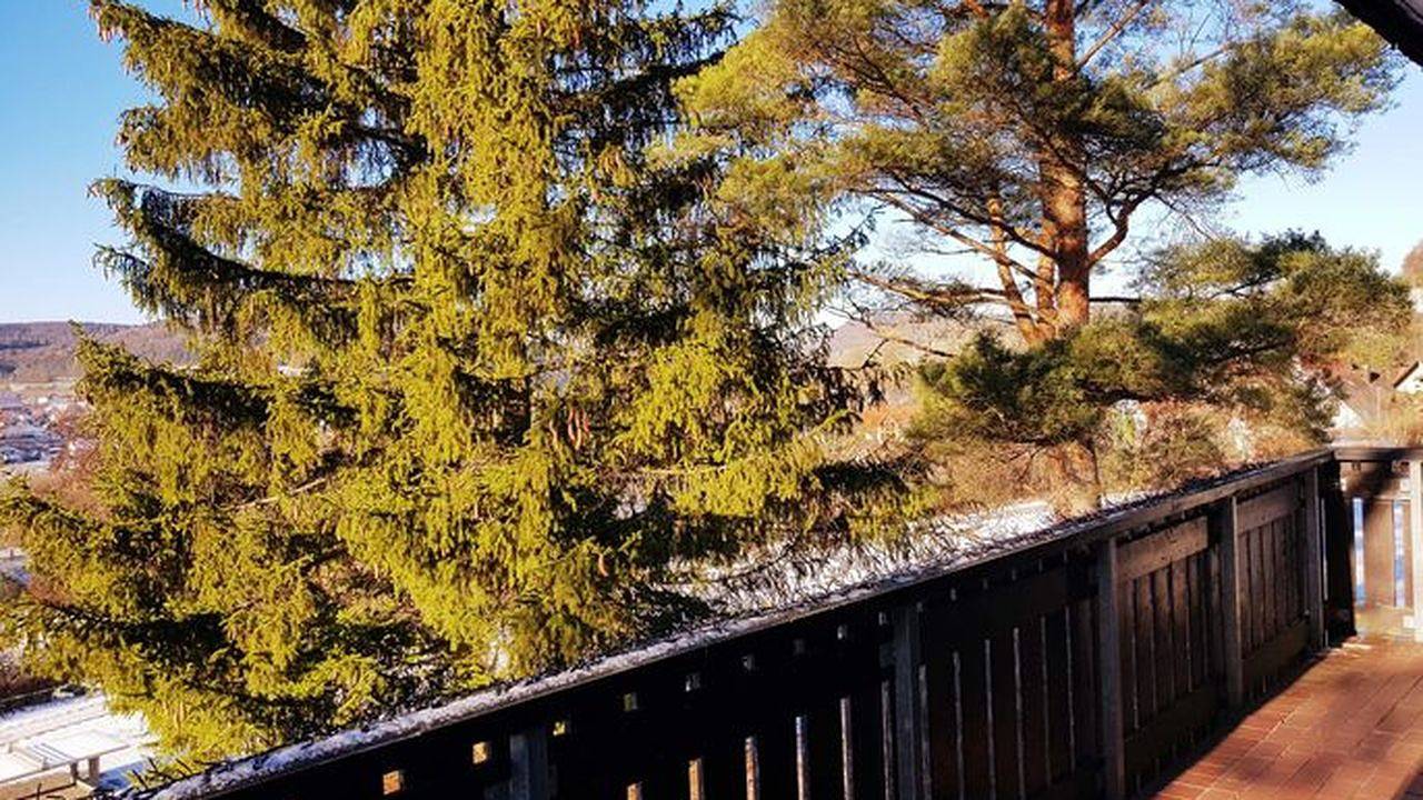 Ganze Ferienwohnung, Ferienwohnung für 6 Personen (50 m²) in Heiligenstadt in Heiligenstadt, Fränkische Schweiz