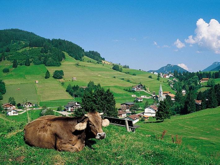 Ferienhaus für 6 Personen, mit Garten und Balkon in Jungholz - 2