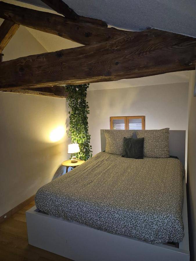 Gîte pour 4 personnes, animaux acceptés à Villefranche-sur-Saône - 3