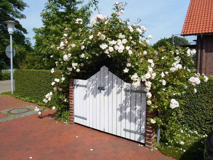 Ferienhaus für 3 Personen, mit Balkon in Horumersiel - 2