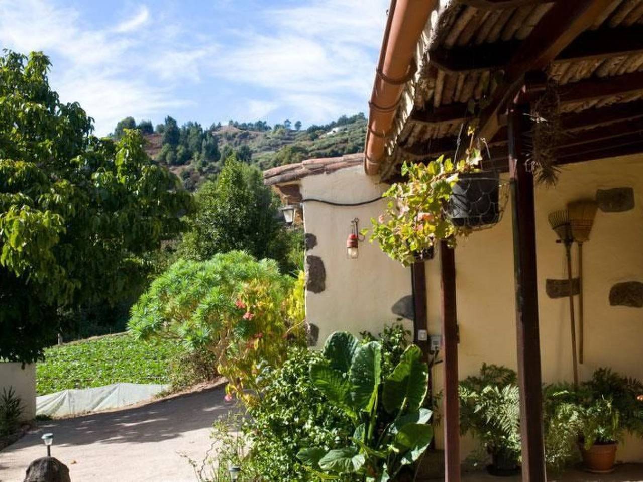 "El Laurel" in Moya, Gran Canaria Norte