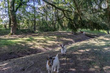 Gîte pour 2 Personnes dans Saint-Bonnet-en-Bresse, Région de Louhans, Photo 3