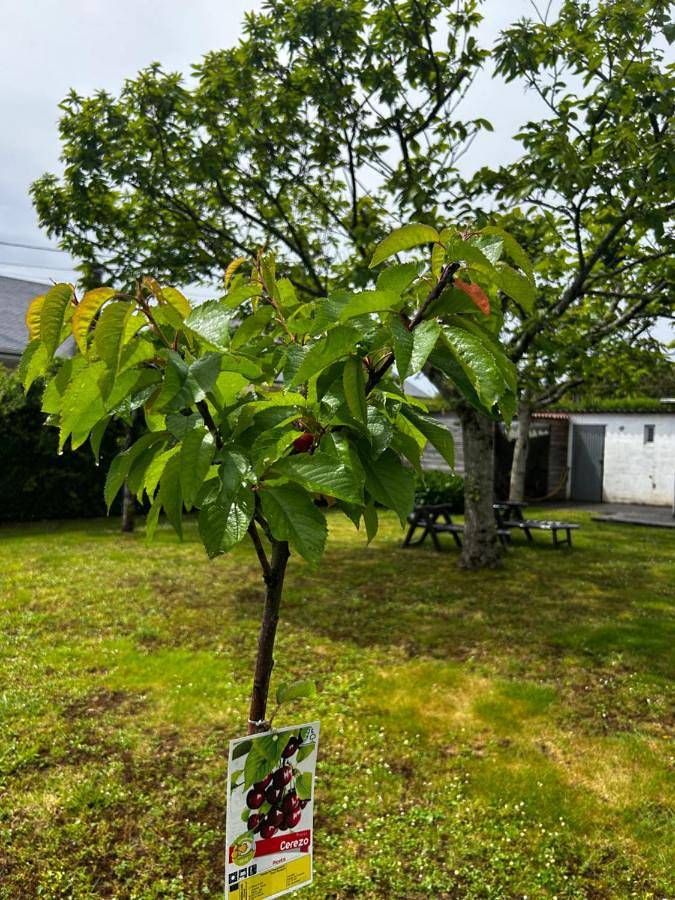 Casa de vacaciones para 8 personas, con jardín y vistas en Arzúa - 4