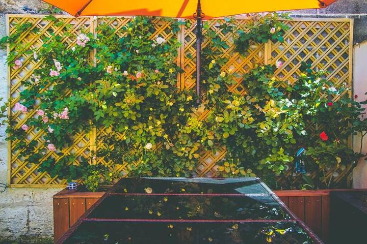 Gîte pour 4 personnes, avec jardin et terrasse à Bègles - 4