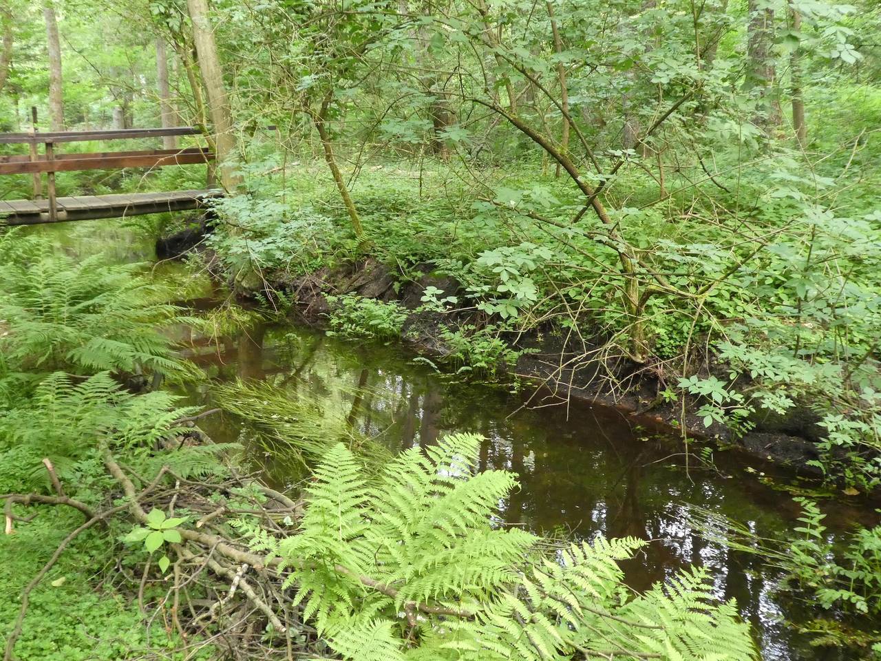 Geheel vakantieappartement, Fw Niemann Lutterloh in Südheide, Südheide Nature Park