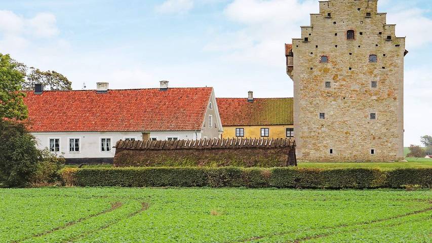 Ferienhaus für 11 Personen, mit Terrasse in Skane - 3
