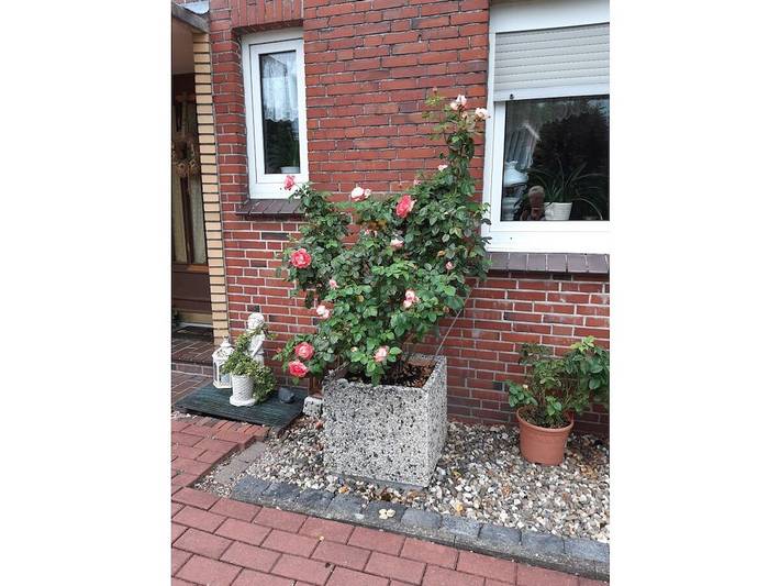 Ferienwohnung mit 1 Schlafzimmer in Hundestrand (Aurich), Aurich