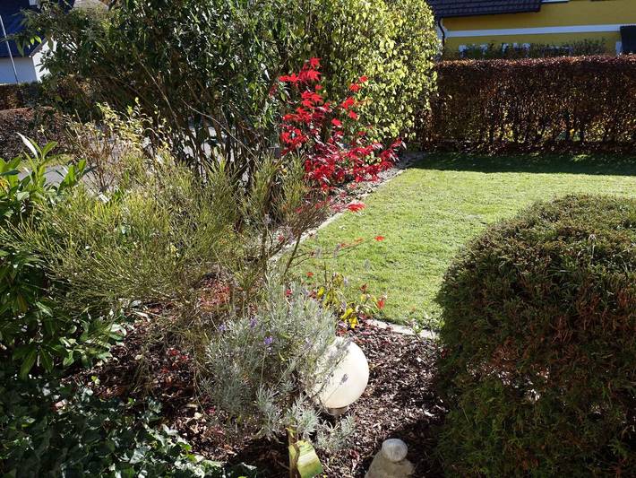 Ferienwohnung für 4 Personen, mit Balkon und Garten, mit Haustier im Salzkammergut - 4