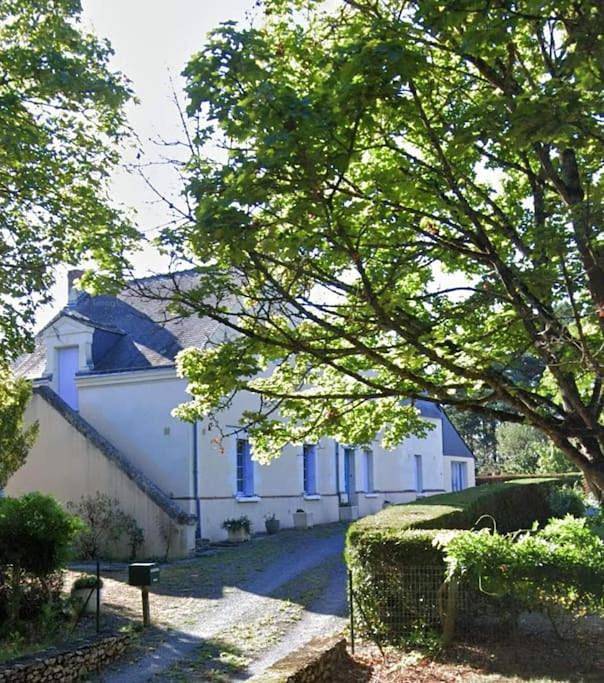 Location de vacances pour 8 personnes à Beaufort-en-Vallée - 2