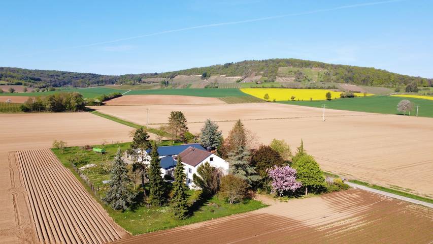 Ferienwohnung für 6 Personen, mit Balkon und Balkon/Terrasse sowie Garten