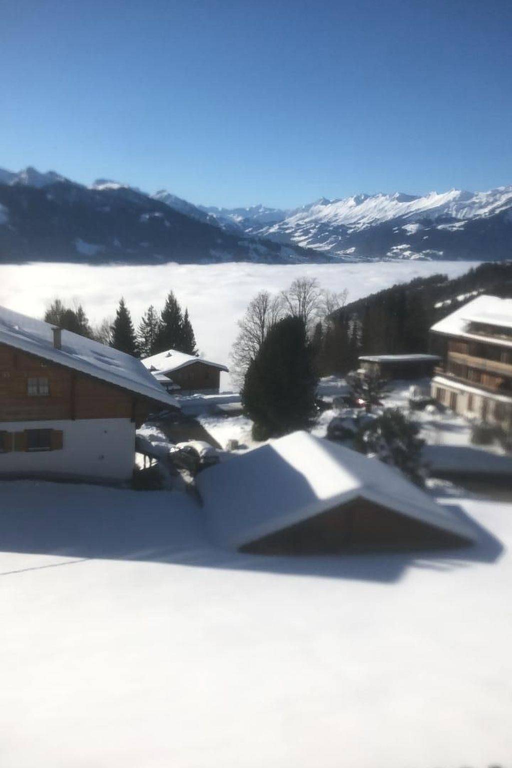 Ganze Wohnung, Chalet Friedheim in Beatenberg, Thunersee