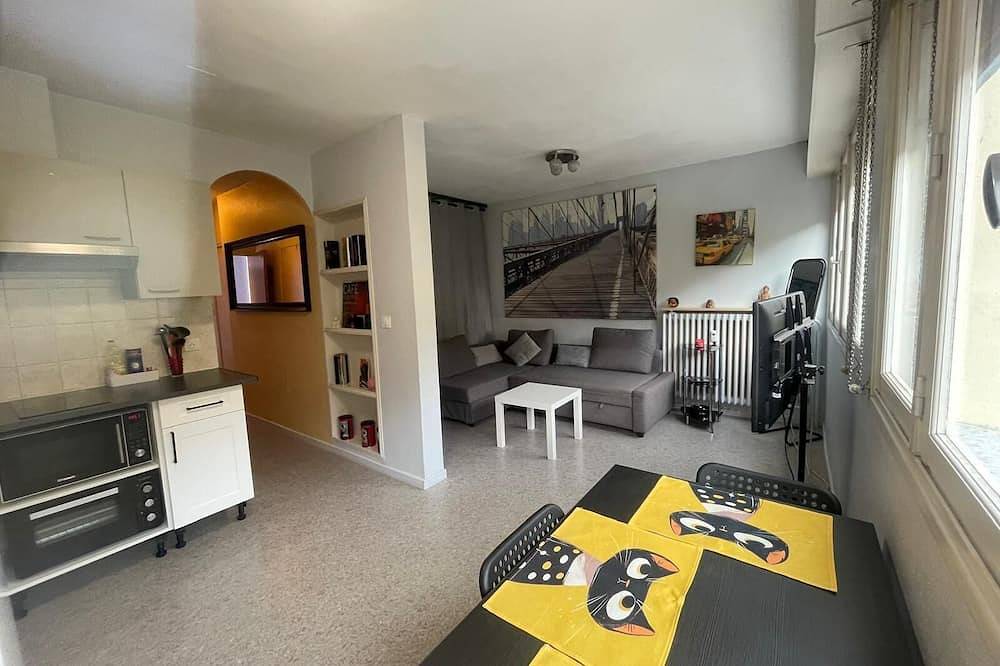 Appartement entier, Cosy T1 bis idéal vacances - cures in Royat, Parc naturel régional des Volcans d'Auvergne