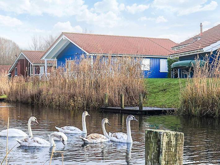 Ferienhaus für 10 Personen, kinderfreundlich in Cuxland - 3
