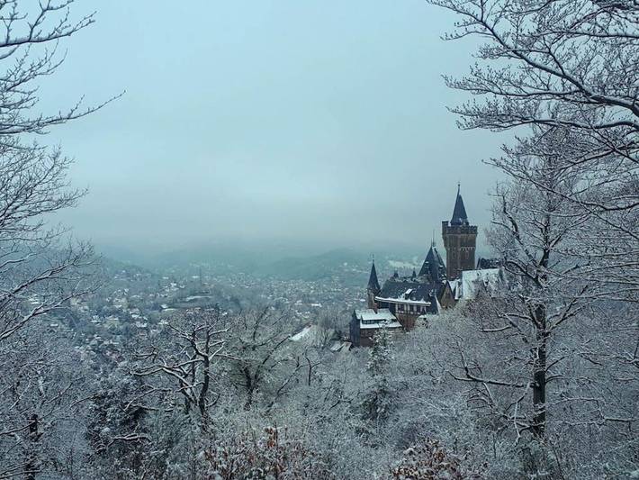 Ferienwohnung für 5 Personen, mit Balkon in Wernigerode - 2