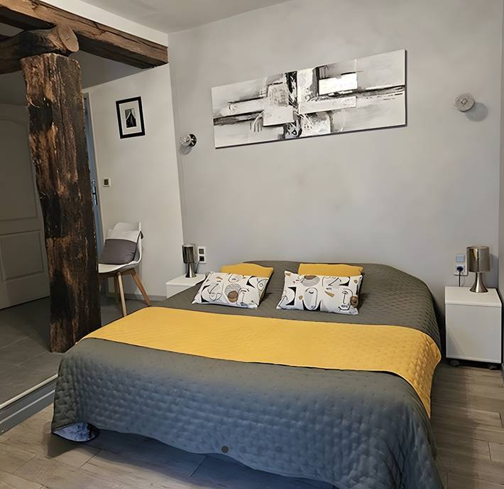 Chambre d’hôte pour 5 personnes, avec jardin à Vienne (France)