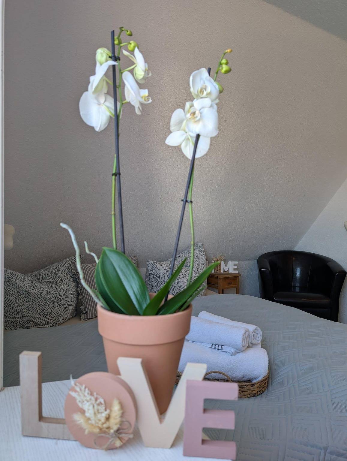Ganze Ferienwohnung, Gästehaus N36 in Westerland, Sylt (Gemeinde)