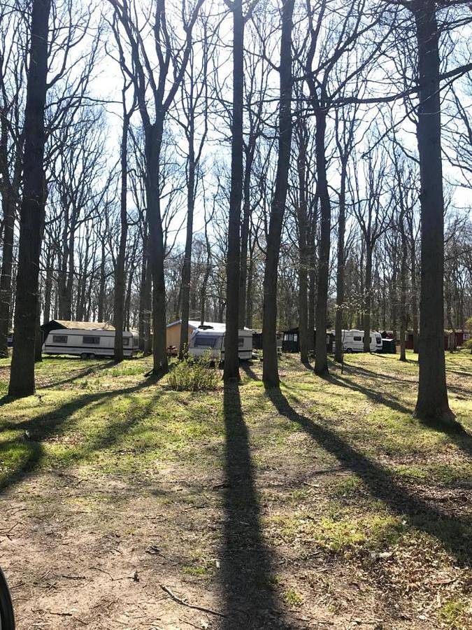 Camper Stellplatz für dein Camper oder Womo Direkt am Strand in Bakenberg, Dranske