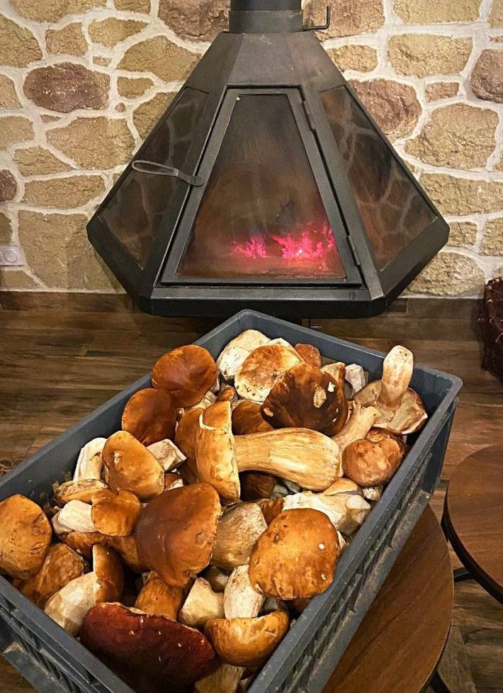 Gîte pour 11 personnes, avec jacuzzi ainsi que terrasse et jardin, animaux acceptés