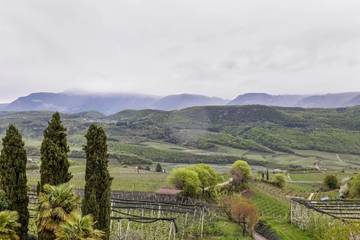 Agriturismo per 4 Persone in Lago di Caldaro, Caldaro sulla Strada del Vino, Foto 2