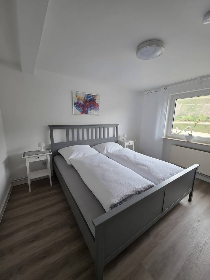 Ganze Wohnung, Ferienwohnung 'Rheinblick Buhl' mit Wlan in Osterspai, Mittelrhein