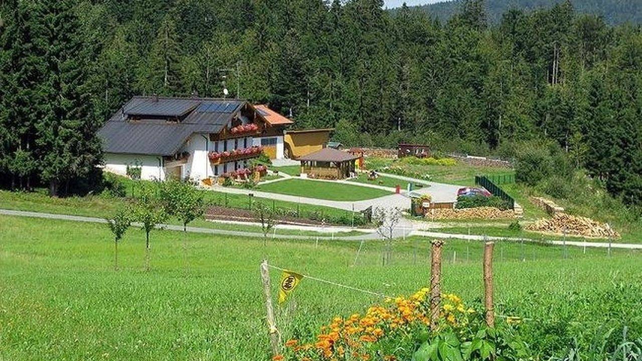 Ganze Ferienwohnung, Ferienwohnung für 2 Personen (60 m²) in Altreichenau in Neureichenau, Ostbayern