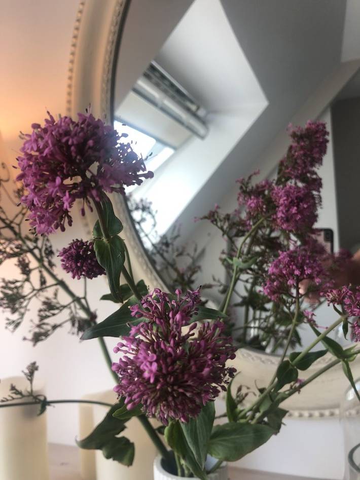 Chambre d’hôte pour 2 personnes, avec piscine et jardin dans la Manche - 4