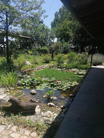 Cottage pour 2 personnes, avec piscine ainsi que balcon et jardin à Azzano Decimo