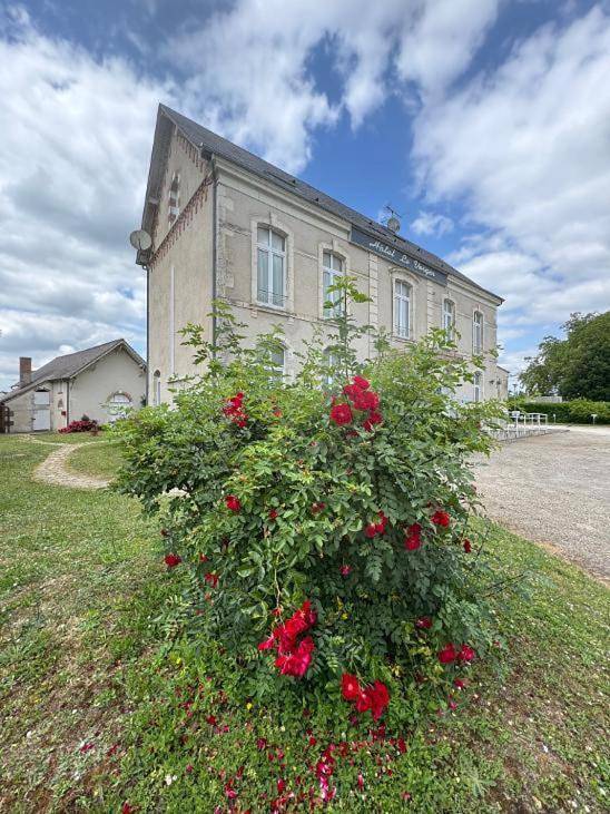 Hôtel pour 5 personnes, avec jardin à Saint-Laurent-Nouan - 2